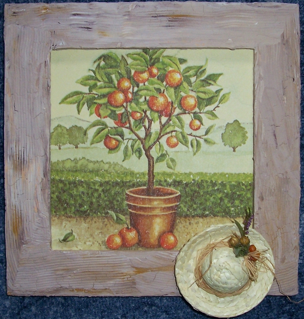 Pomerančovník